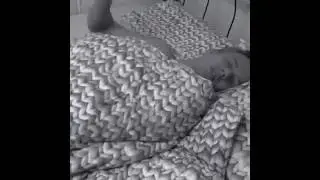 12876680 1691216957803281 1376758324 n