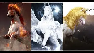 BDO Dream Horse Attempts