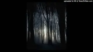 stoopidxool x flee x diego money type beat 2023 (p. @fuckwbandz)