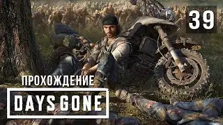 Забота о безопасности • Days Gone • #39