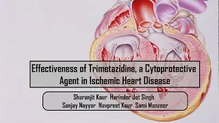 Effectiveness of Trimetazidine, a Cytoprotective Agent in Ischemic Heart Disease