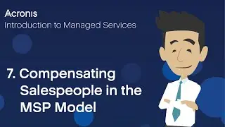 7. Compensating Salespeople in the MSP Model