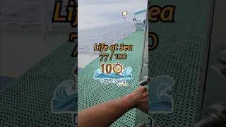 #077 Inspection on Ships #ship #shorts #trending #viralvideo