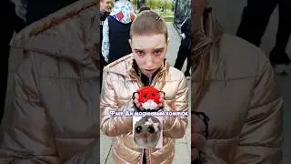 ХОМЯК СБЕЖАЛ ИЗ МЕМА🐹Честная ли победа? 