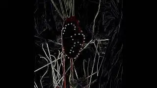 Emotional Biodiversity Heart by Di Mainstone