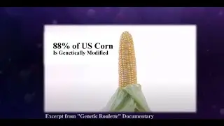 Healing Quest: Avoiding GMOs