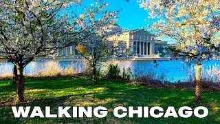 Walking Chicago 4K - Jackson Park Japanese Garden of the Phoenix (Osaka Garden) in Hyde Park 2021