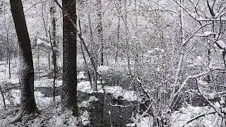 Песня 