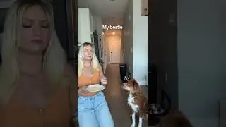 #doglover #dogshorts