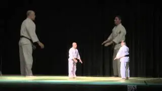 NIHON TAÏJITSU : Gala des Arts Martiaux Aucamville