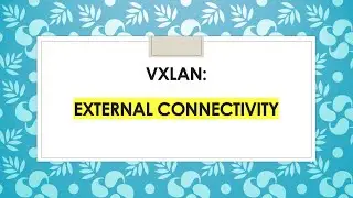 VXLAN BGP EVPN- External Connectivity via VRF-LITE(Episode 4)