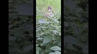лазили по заброшке часть 1 и встретили бомжа смотреть до конца