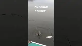 река Камчатка