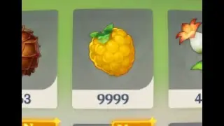 What happens when you reach 10,000 berries in Genshin Impact?