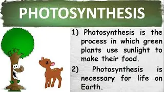 10 Lines on Photosynthesis in English | Few Sentences about Photosynthesis in English