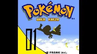 Pokemon Gold Kaizo | Hardcore Nuzlock | Episode  1: New Beginngs