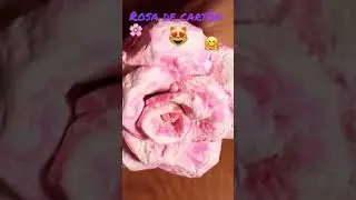Rosas co cartón reciclado🌸