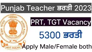 Punjab Teacher Recruitment 2023 || Latest Govt Jobs 2023 || Punjab Govt Vacancies 2023