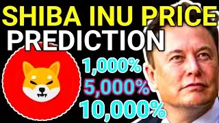 Shiba Inu Price Potential: Evaluating Market Cap Changes with 1,000%, 5,000%, and 10,000% Growth