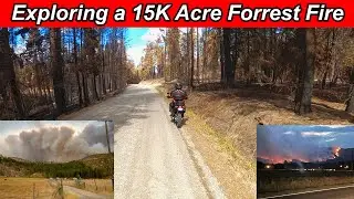 Exploring Forest Fire Damage - Channel Update