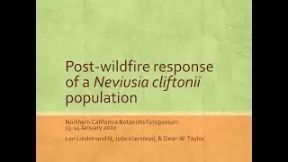 Post-fire response of Neviusia cliftonii (Shasta snow-wreath).