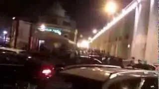 Обезьяны резвятся в центре Питера.