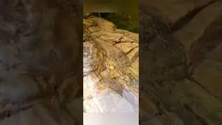 Um passeio rápido pela Serra! Serra da Canastra!