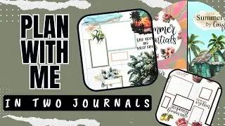 Plan With Me [In TWO Journals]