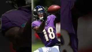 Who Makes The Roster…Dayton Wade Or Deonte Harty? #baltimoreravens #shorts