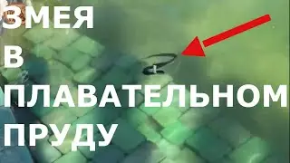 ЗМЕЯ в пруду//Плавательный пруд своими руками