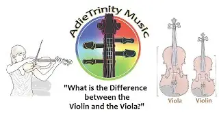 What is the Difference Between the Violin and the Viola?