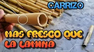 Como hacer un Techo de carrizo  / Se siente muy FRESCO!!!