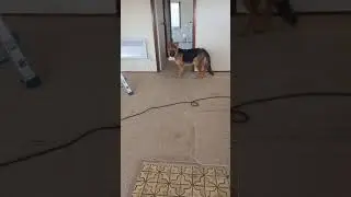 building inspector at a job im on