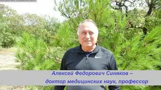 Эликсиры для сердечников от моего дедушки Никиты