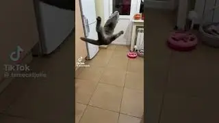 😳😳😳 