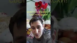 Отправь дальше поздравление! #100 #funny #comedyvideos #funnyshorts #shorts