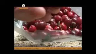 Сергей Ольшанский Кизиловый рай