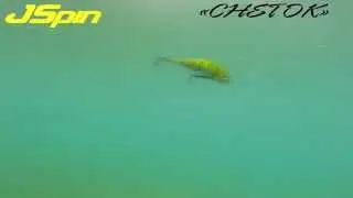 jspin снеток