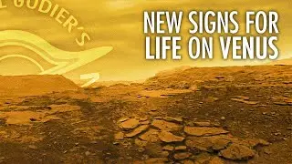 Signs For a Strange Type of Life on Venus with Dr. Janusz Petkowski
