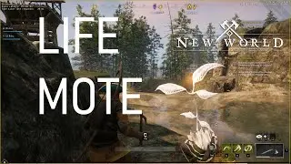 Where to Find Life Mote in New World Game [Preview Event]