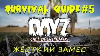 DayZ Standalone | Call of Chernarus | guide 5