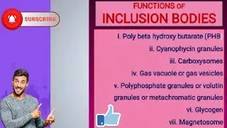 Functions of Inclusion Bodies