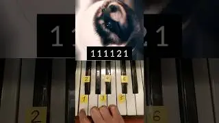 Pedro Piano Tutorial #pedro #piano #tutorial #keyboard  #tipsandtricks