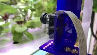 Plant Deficiency Detection Device (prototype)