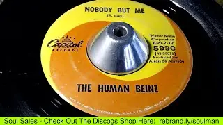 Sales - The Human Beinz - Nobody But Me