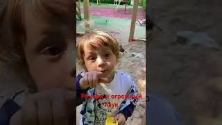 Ричард и паук#shorts
