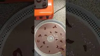 КЛУБНИЧНАЯ ПАСТИЛА СО СЛИВКАМИ #пастила #пастилабезсахара #фруктоваяпастила