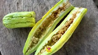 វិធានការការពារ និងកម្ចាត់ស្រាំងទិចផ្លែ