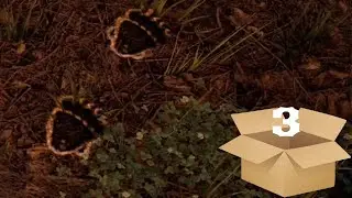 Hunting Simulator 2[ПО СЛЕДУ МЕДВЕДЯ] #3