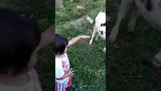Кичи Айдаркен